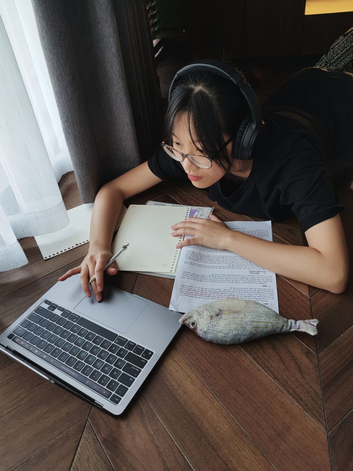 ảnh một chú chó đang chăm chỉ học tập